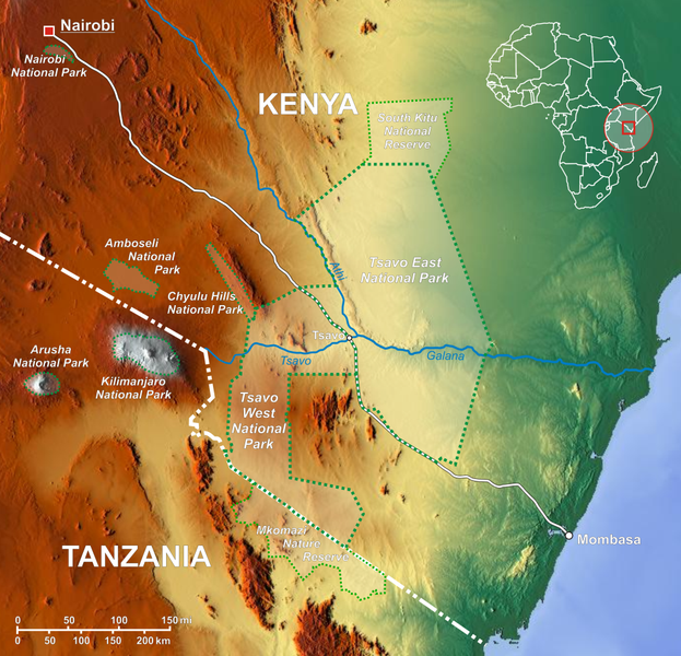 Amboseli Nationalpark Kenia